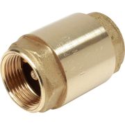 Клапан обратный Giacomini R60 пружинный 1