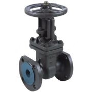 Задвижка ст 30с41нж Ду150 Ру16 фл BRDHSB